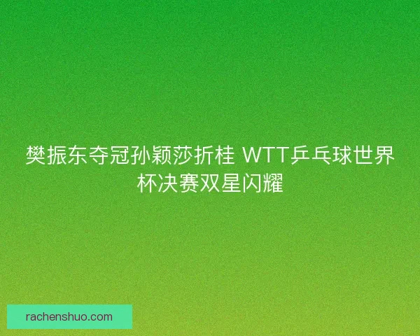 樊振东夺冠孙颖莎折桂 WTT乒乓球世界杯决赛双星闪耀